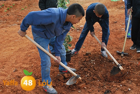 a3malteybeortlud (51).jpg